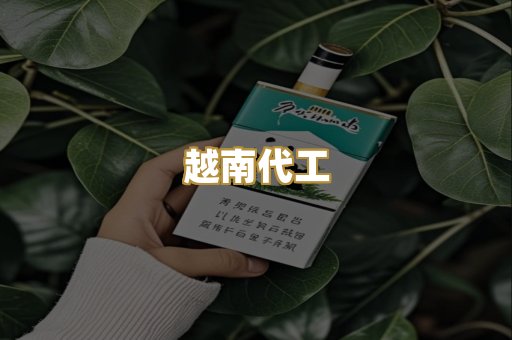越南代工